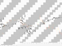 Exxon Jumps 4% After Company Boosts 2030 Cash-Flow Outlook