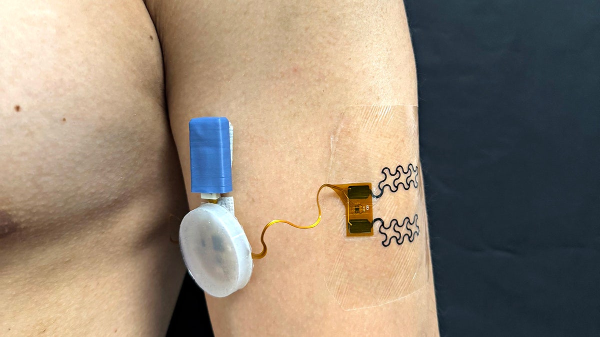 A new wearable sensor tells people when to drink to avoid potentially deadly dehydration.