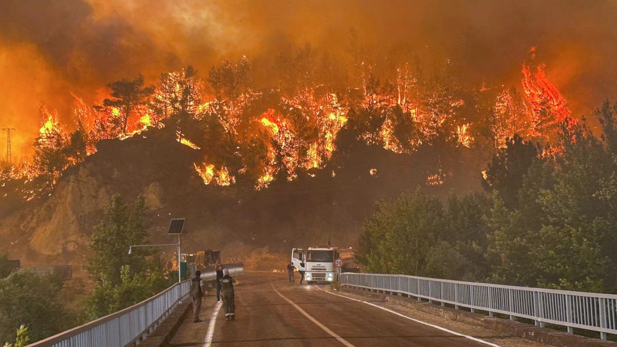 turkey fire